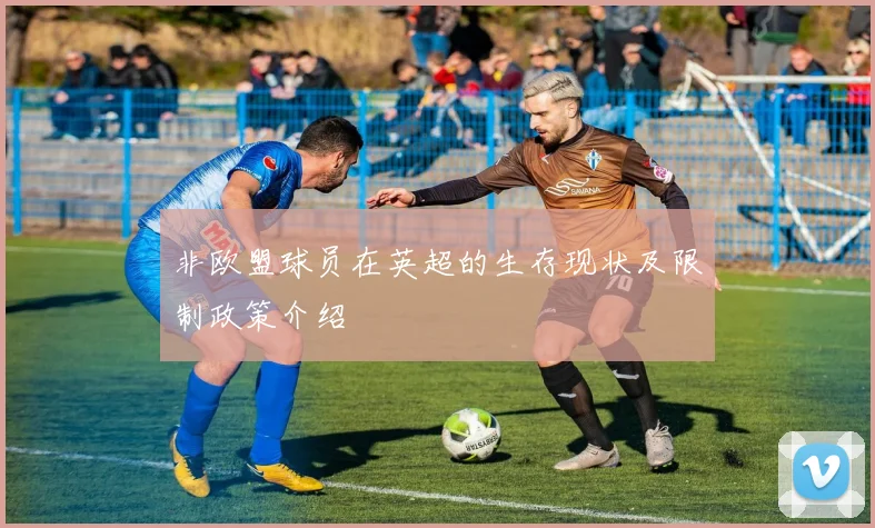 非欧盟球员在英超的生存现状及限制政策介绍