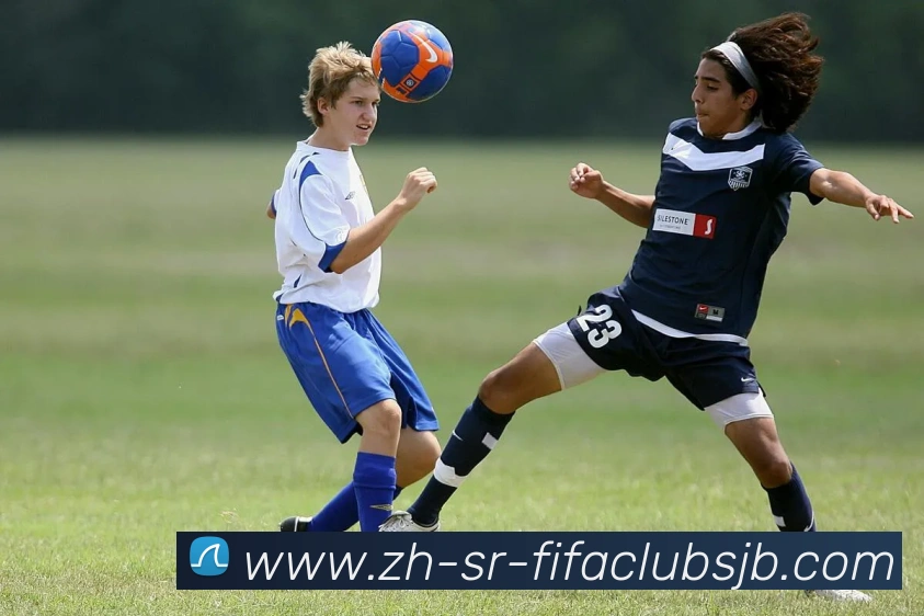 世界杯赛程服务体系