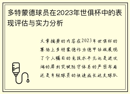 多特蒙德球员在2023年世俱杯中的表现评估与实力分析